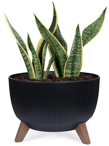 KONZEPT Pflanzenschale mit Füßen 33 cm Blumentopf Kunststoff Schwarz, Pflanzkübel Groß Außen, UV-Beständig, Wetterfest, Mit Wasserablauf, Perfekt für Solarbrunnen & Miniteich