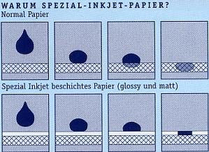 Print4Life P4L - 50 Blatt Overheadfolie Overhead OHP Folien Inkjet MIT Sensorstreifen