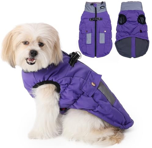 Savlot Wasserdicht Hundemantel, Kaltes Wetter Winter Warme Jacke für Kleine Mittlere Große Hunde, Hundepullover mit Fleece Gefütterte Reflektierend Welpen Winterweste, Haustierbekleidung(M, Lila)