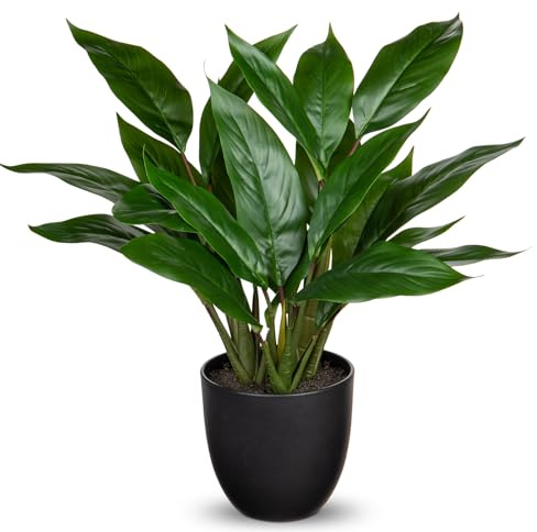 Briful Künstliche Pflanze Wie Echt Kunstpflanze Dekopflanze Calathea Buschig mit 22 Blättern im Kunststofftopf Zimmerpflanze, Höhe 43cm, Grün