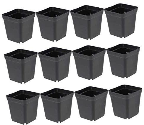 FUTUREORYY 50 Pezzi Piccoli Vasi Quadrati in Plastica Per Fiori Fori Di Drenaggio Per Piantine e Talee, Vasi Per Vivaio Per Balcone e Patio, Vaschette Nere Compatte 6x6x6,5 Cm