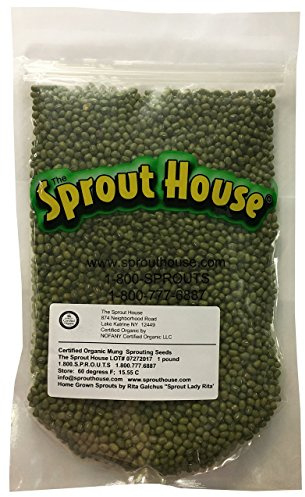 Organic Sprouting Seeds Mung Bean 1 Pound the Sprout House