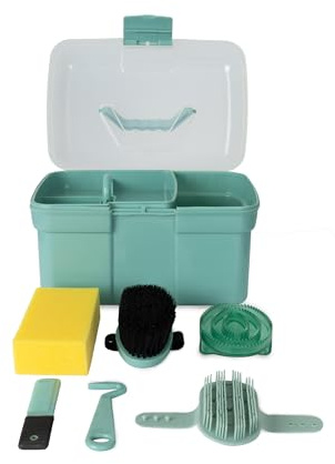HORZE Caja de limpieza para niños con cerrojo, raspador de pezuñas, peine y mucho más