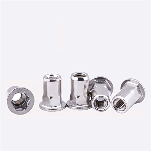 Metall-Blindnietmuttern, Einpressmuttern, 304 Edelstahl Rivnut Flachkopf Halbsechskantkörper Mehrere Größen Packung mit 2-10 Stück(M4 (10Pcs))