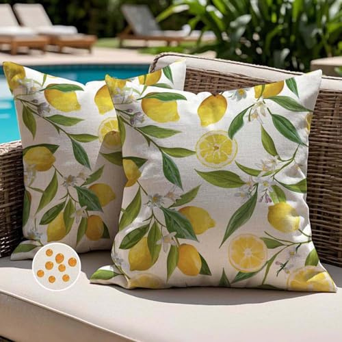Jayusaror Fundas de Cojine 45x45 Exterior Impermeable con Diseño de Limón Amarillo Moderno Cuadrada Decorativos Primavera Verano Sofa Fundas de Almohada para Sofá Jardín Balcón Decoración Juego de 2