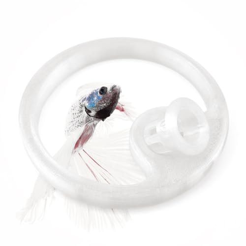 byMazy Betta Fish Feeding Ring | Floating Aquarium Portal with Worm Feeder Cone, Fish Tank Feeding Station (Clear White, XS)