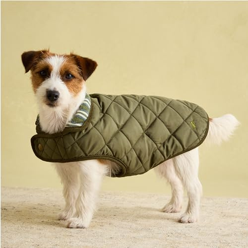 Rosewood x Joules Khaki Quilted Coat for Dogs, Small, Washable, Lightweight, Warm Winter Dog Jacket for Small Dogs