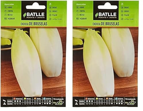 Batlle, Endivia BRUSELAS (Paquete de 2)