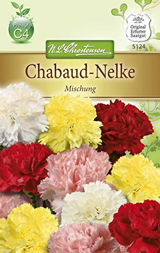 [STREICHUNG 2023] N.L. Chrestensen 5124 Chabaud - Nelke Mischung (Nelkensamen)