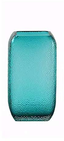 BDPP große Vase Vases américaines Classiques Transparentes élégantes et Simples de Salon Verre hydroponique Fleur Bouteille Maison décoration Cadeaux de Mariage Le pour Les Amis et Les amoureu