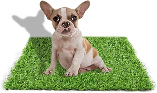 STARROAD-TIM 50 X 60 cm Gazon Artificiel pour Chiens, intérieur et extérieur, Fausse Herbe pour Chiens, Zone d'apprentissage de la propreté, terrasse, pelouse, décoration