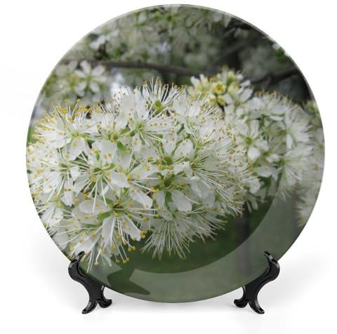 Bird Cherry Flowers Branch Decorative Plate for Wall Home Wobble-Plate with Display Stand Table Decor Ornament Ceramic Dinner Plate Dessert Dish Holiday Home Decoration 6