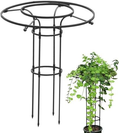 Rankobelisk - Traliccio per piante rampicanti, 90 cm, in acciaio, rivestito in plastica, per piante rampicanti, palloncini e fiori, decorazione da giardino durevole