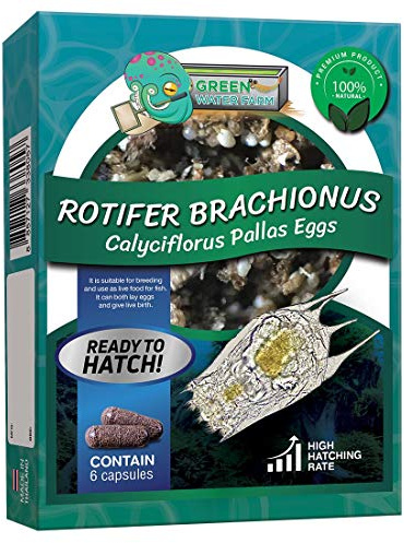 GREEN WATER FARM Rotifers Brachionus calyciflorus Pallas Eggs Live Fish Food for Hatching and Culture Suitable for Feed Betta Fish