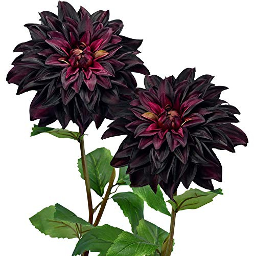 FiveSeasonStuff Artificial Flowers Dahlia Silk Flowers for Outdoors Indoors and Tall Vases 2 Stems (Dark Plum Purple)