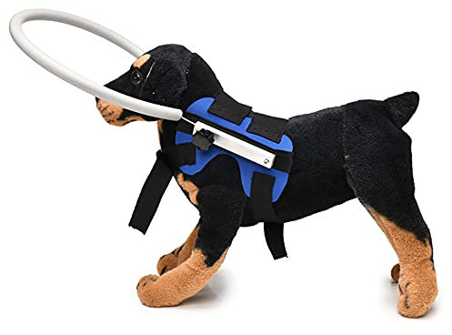 Blind Dog Accessories Vest & Halo - Anti-Collision Head Protection, Adjustable for Small to Large Dogs
