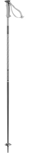 Salomon POLAR Ski Poles, Unisex, 18mm Aluminum Diameter, Strong and Lightweight with Dual-Material Grip, Gray, 110