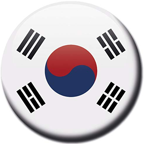 Kühlschrankmagnet Flagge Süd Korea Magnet Länder Flaggen Reise Souvenir für Kühlschrank stark groß 50 mm
