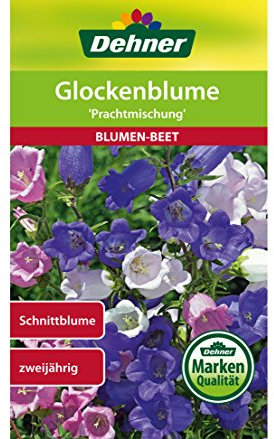 Dehner Blumen-Saatgut, Glockenblume, Prachtmischung, 5er pack (5 x 1 g)