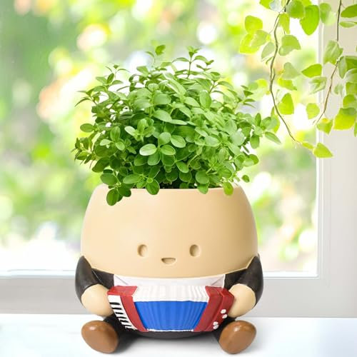 NINNSSOT Small Plant Pots Indoor Outdoor Cute Smiley Face Flower Head Planter, Resin Succulent Plant Pot, Strawberry Planter,String of Pearls Plant, Cactus Pot Ideas for Mother Christmas
