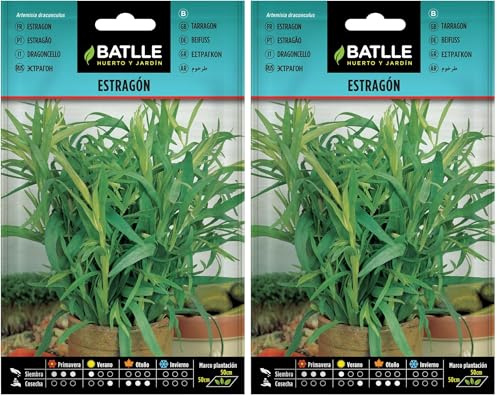 Batlle - Semillas Aromáticas - Estragon (Semillas - 50cm) (Paquete de 2)