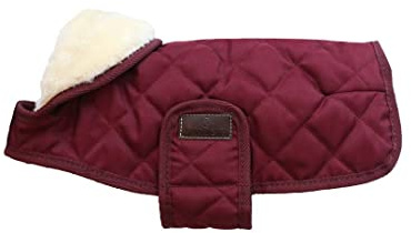 Kentucky - Hundemantel - Bordeaux - XL - 60-70cm