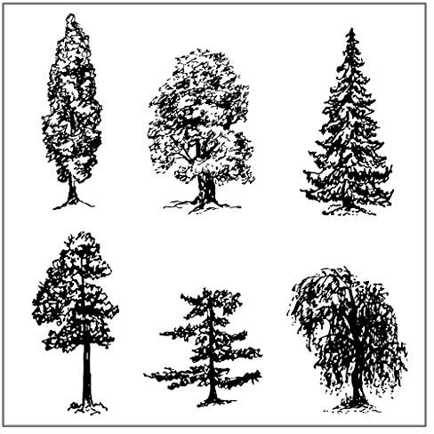 Wald Baum DIY Silikon Clear Stamp Haftsiegel Scrapbook Prägung Fotoalbum Dekoration Handwerk Kunst Handgefertigtes Geschenk Cartoon Siegelstempel Clear Stamps Silikon Siegelstempel Silikon Clear