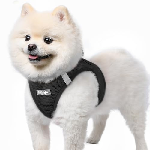 rabbitgoo Harnais Chien Petite Taille Noir S, Harnais Chiot Respirante en Maille Souple, Arnet pour Chien Réfléchissant Facile à Mettre, Gilet Réglable pour Petits et Moyens Chiens pour Marche Course