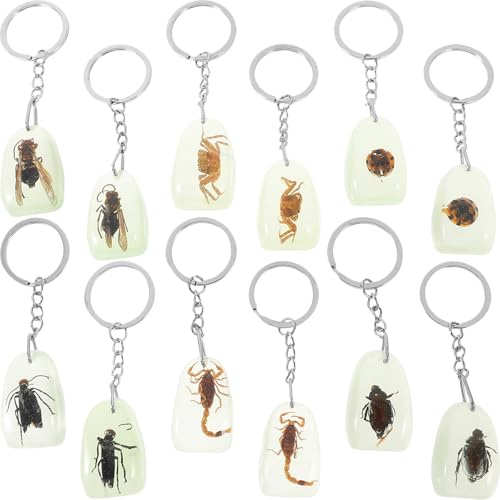 HAPINARY Porte-clés design insectes résine lot de 12 pièces, pendentifs pour clés ou sacs, décorations ambrées délicates, toucher , style simple et élégant Plusieurs styles