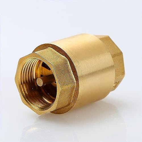 NETFEN Ventile, DN15/DN20/DN25 NPT Messing Innengewinde Inline-Federrückschlagventil 25 Mm Durchmesser 200WOG Zur Wasserkontrolle 1 Stück (Size : 2 Inch)