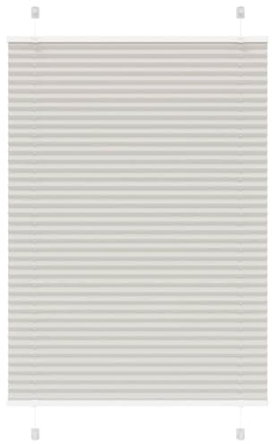 vidaXL Estor Plisado Gris Claro 100x150 cm Tela Ancho 99,4cm Poliéster, Estor Plisado para Ventana, Estor Plisado para Ventana, Estor Tipo acordeón para Ventana