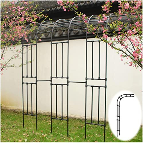 CNPRAZ Rosenbogen halbrund Torbogen Rankhilfe Gartenbogen Halbbogen für Kletterrosen Wandmontage Rosenhilfe aus Metall (Größe : 60x240cm)