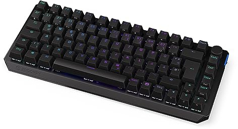 ENDORFY Thock 75% Wireless DE Kailh Box Red, Gaming Tastatur, BT und 2.4 GHz Wireless, PBT Double-Shot Keycaps, Hot-Swap Funktion, Deutsches Layout QWERTZ