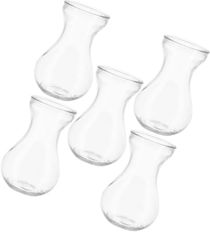 BESTYASH 5pcs Glass Vase for Flowers Compact Bud Vases for Indoor Hydroponic Plants and Housewarming