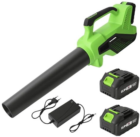 souffleur Batterie, Souffleur à Feuilles sans Fil avec 2 Batteries de 3,0 Ah et réglage à 6 Vitesses, 256 km/h, souffleur à Feuilles sans Fil pour Jardin, Feuilles, poussière et Neige
