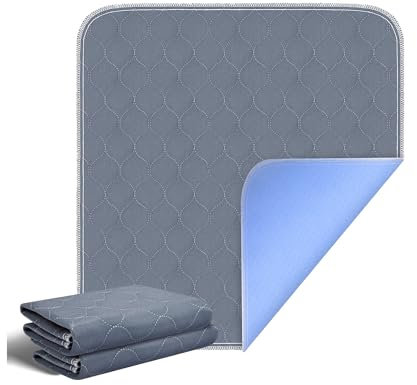 RIQINXIN Almohadillas de incontinencia lavables sin fugas para silla, acolchadas, para adultos, sofá de 21 x 22 pulgadas, 2 unidades, color gris
