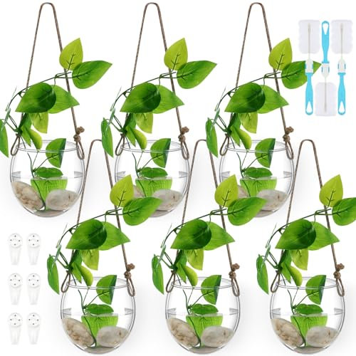 Sunnychicc 6 Set Wandbehang Pflanzgefäß Glas Pflanzgefäß Wasserterrarium Glasbehälter Wandvasen für Blumen Luft Hydrokultur Pflanzen Anzucht Glas Pflanzenhalter Zuhause Zimmer Fenster Büro