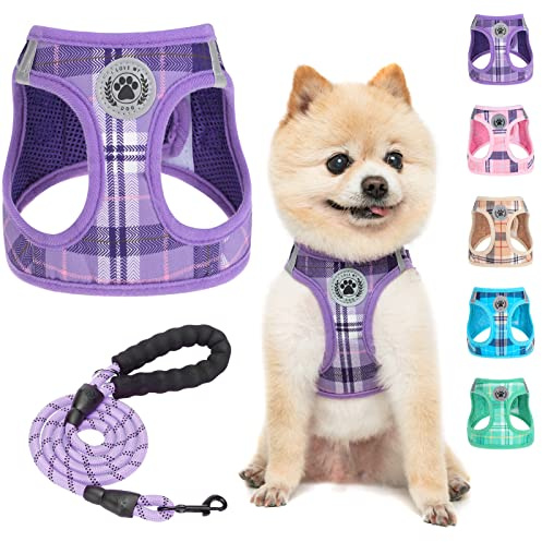 BEAUTYZOO Kleines Hundegeschirr und Leine,Step in No Chock No Pull Soft Mesh Hundegeschirr, reflektierend für XS/kleine, mittelgroße Welpen, kariertes Hundegeschirr für XS S Haustiere (lila, XS)