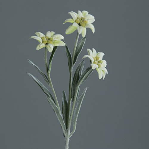 DN-Dekor Kunstblume Edelweißpick mit drei Blüten, 1 stück, ca. 30 cm, Creme, Kunststoff, natürlich, rustikal, ARTIFICIAL_PLANT, 675250031