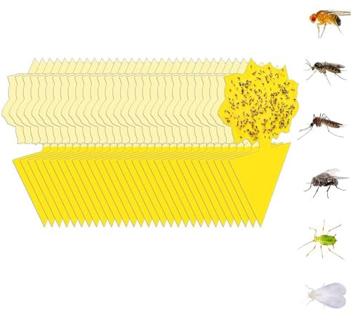 50 pcs Yellow Sticky Traps for Gnats, Fungus Gnat Sticky Trap Fruit Fly Traps Plant Flies Killer, House Plant Fungus Gnat Killer Outdoor Bug Gnat Sticky Traps