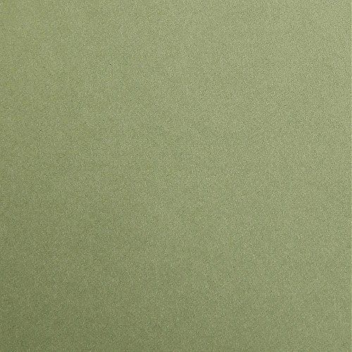 Clairefontaine 97470C Fotokarton Pack, 25 Bögen Premium, Din A4, 21 x 29.7 cm, 300 g, khaki