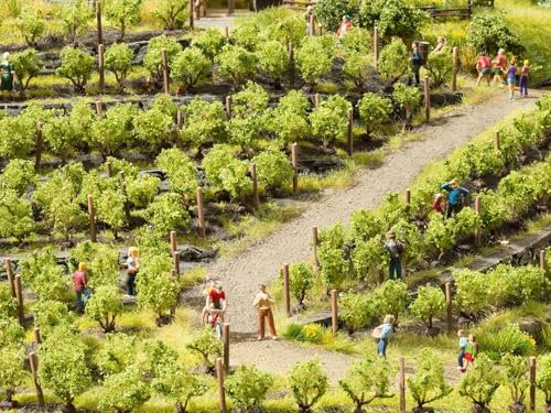 Noch - 21540 - Modélisme Ferroviaire - Éléments De Décoration - Vignes - 24 Ceps