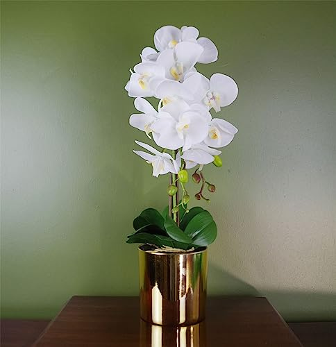 Botanik Realistic Artificial Orchid Plants Fully Potted