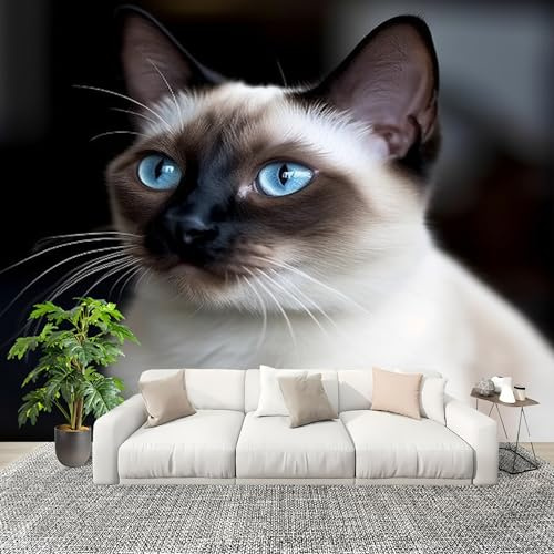Mural Papel Pintado 3D 350x256cm Animales Gato SiaméS Fotomurales Tejido No Tejido Antiarrugas Póster Negro Murales Fotográfico Moderno Decoración de Paredes