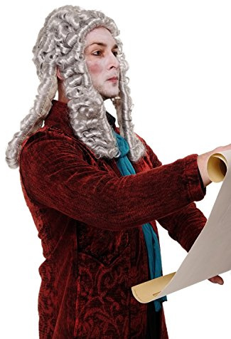WIG ME UP - WIG002-K309 Perücke Faschingsperücke Karneval Adliger Barock Renaissance Richter Lord Komponist Grau