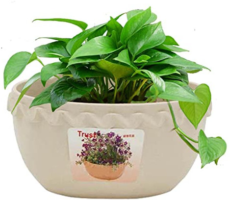 Luckxing Vaso per Tubi – Vaso per Fiori per Interni – Unico fioriera con drenaggio, Rete per drenaggio, Design da Parete in Punta di Argilla, per Giardino, Balcone, Cucina