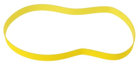 Briny River Courroie Plate d'entraînement de Tamis à Tambour 05012119 Compatible avec Scheppach RS350 RS400 460 X 12 Mm