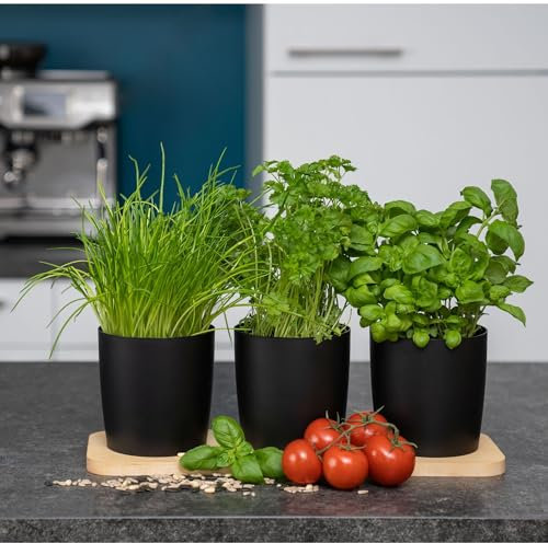 Novaliv Stilvolle Kräuterstation 3er Set mit Holzunterlage - Kräutertopf für Jede Fensterbank, Für frische Küchenkräuter, Kräutergarten für die küche, Kräuterbeet Indoor, Blumenkasten, Pflanzentopf