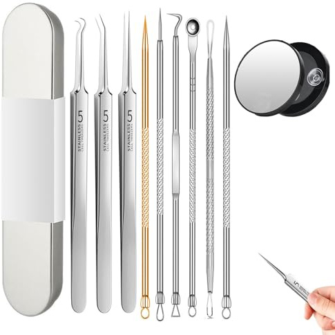 Set med 10 st pormaskborttagare, verktygssats för fläckborttagare, pormaskborttagare i rostfritt stål, pormaskborttagare med 15 x förstoringsglas, metallbox