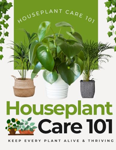 Houseplant Care 101: Keep Every Plant Alive & Thriving